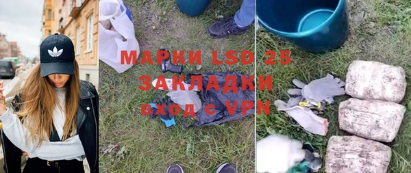 PSILOCYBIN Абаза