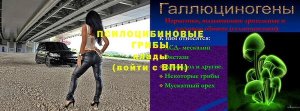 PSILOCYBIN Абаза